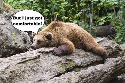 writing a professional letter