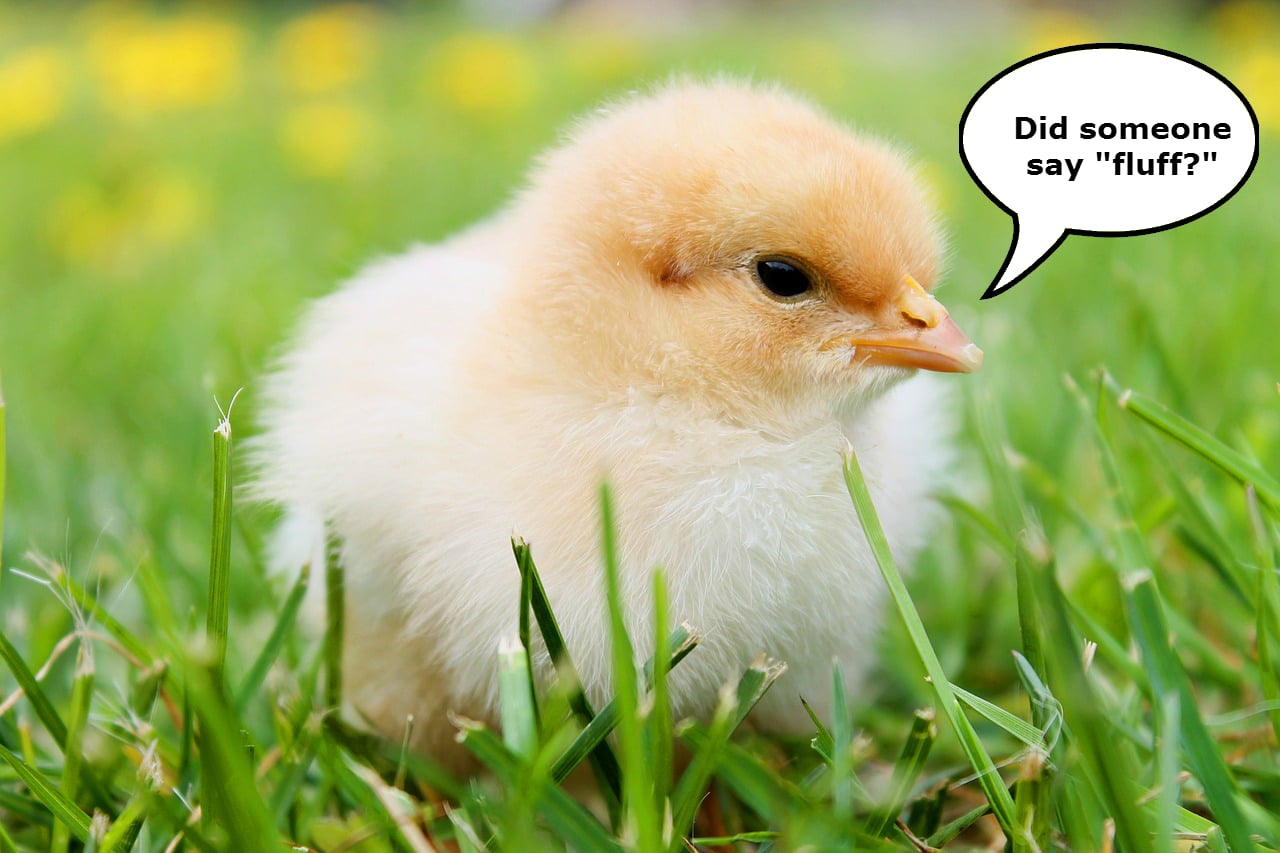 how to make an essay longer