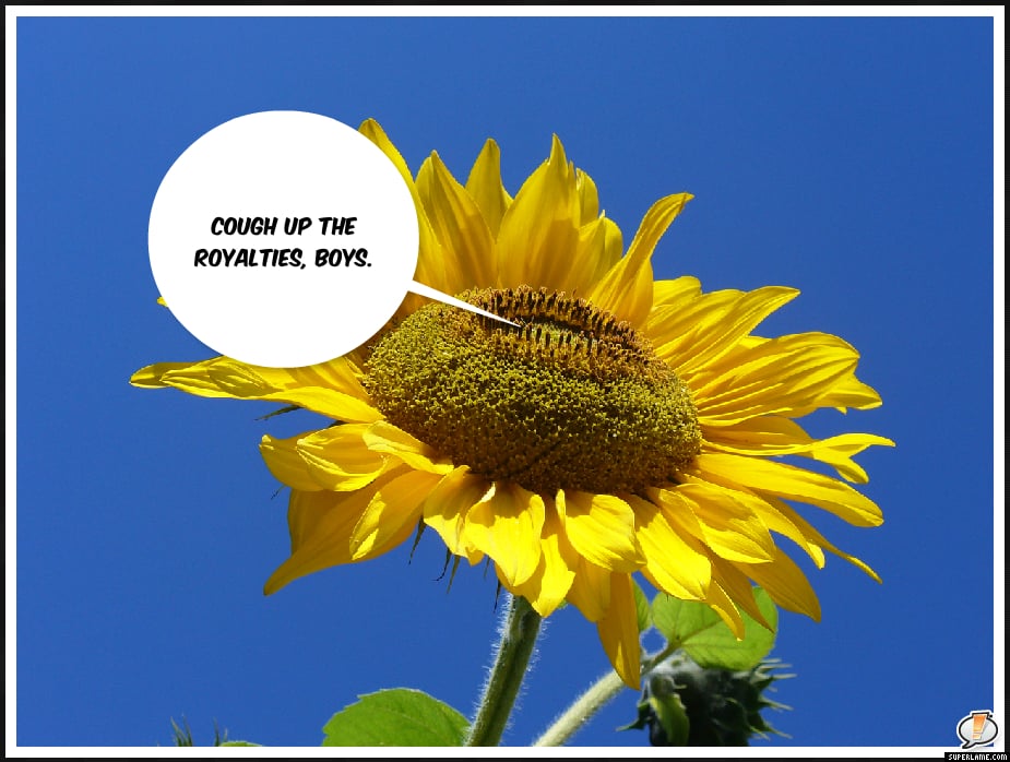 poems to compare and contrast