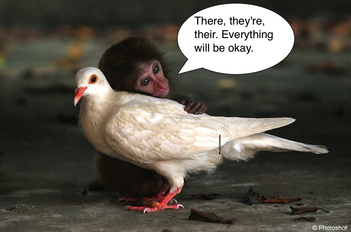 grammar rules their they're there