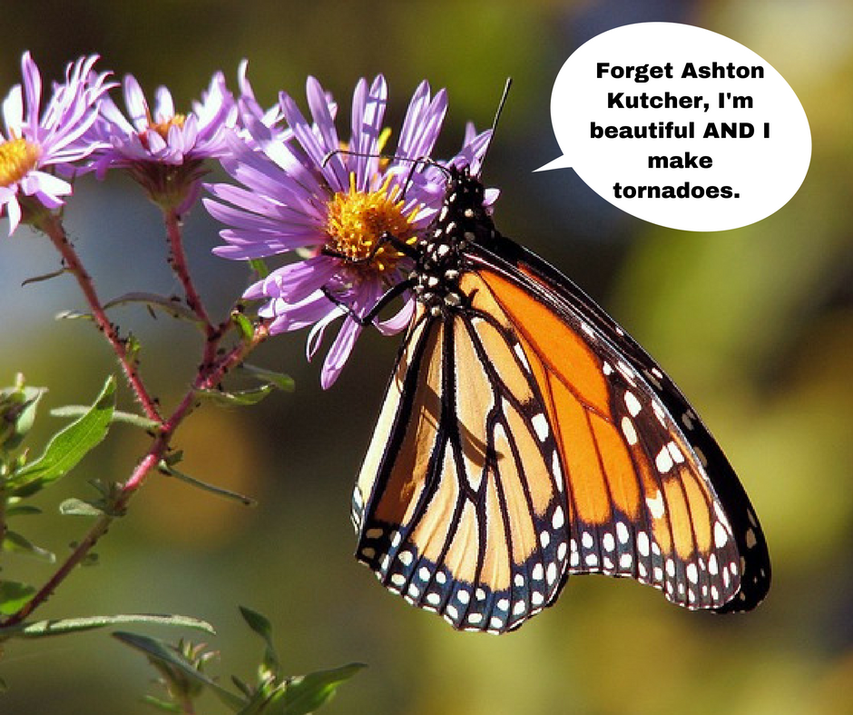 how to write a cause and effect essay