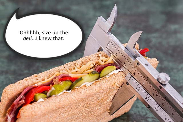 how to write a critique