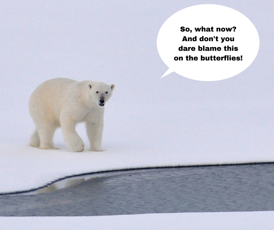 how to write a cause and effect essay